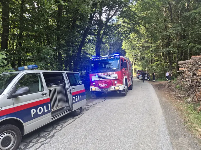 In einem Waldgebiet zwischen Kirchberg und St. Stefan fand die Suchaktion nach einem vermissten Mann statt.