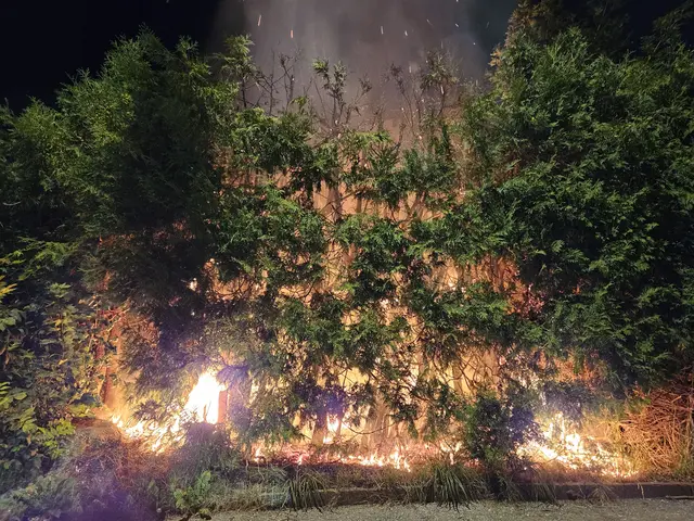 Foto: Feuerwehr Reutte