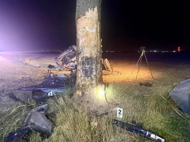 Rettungskräfte konnten den Lenker nicht mehr retten. | Foto: FF Schwechat