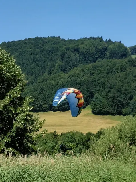 Foto: H.Bachinger
