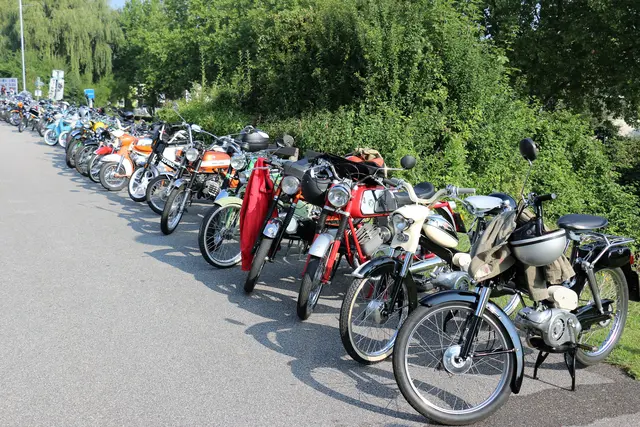 Foto: Rudolf Emhofer