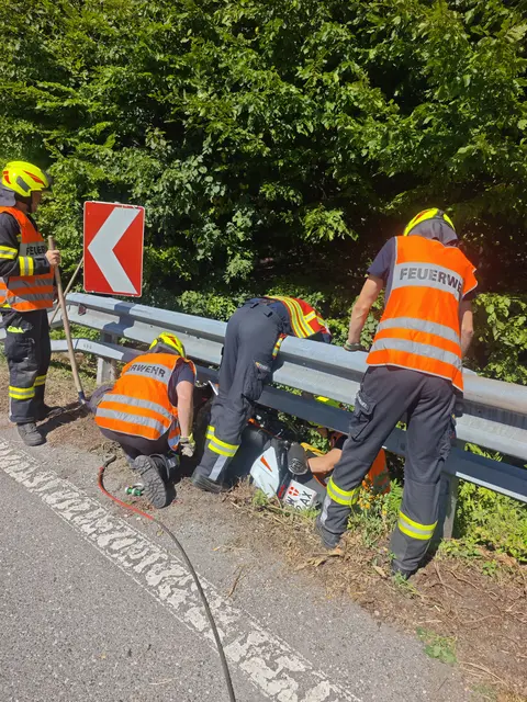 Die Feuerwehr Donnerskirchen rückte mit dem Mehrzweckfahrzeug und dem Rüstfahrzeug zur Einsatzstelle aus. | Foto: Feuerwehr Donnerskirchen - Rene Fasching