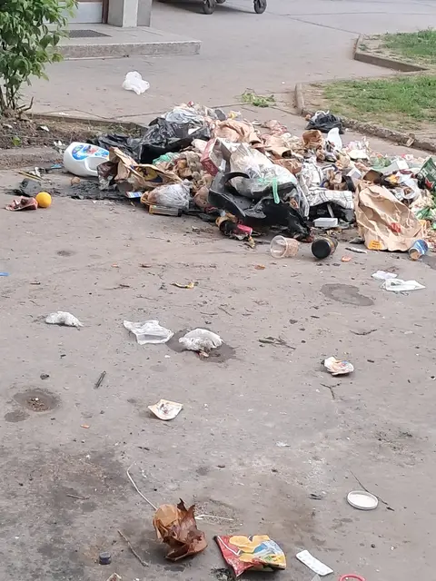 Foto: zVg
