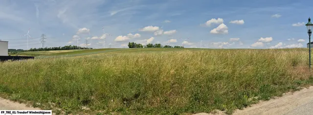 Visualisierung: Blick von der Windmühlgasse in Tresdorf | Foto: Im Wind