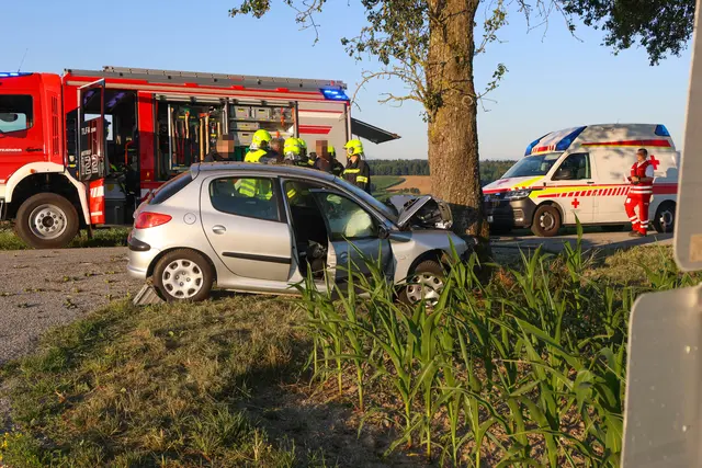 Foto: laumat/Matthias Lauber