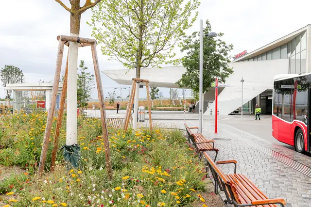 Der neue Nelson-Mandela-Platz hat mehr Grün erhalten. | Foto: Christian Fürthner/ Stadt Wien