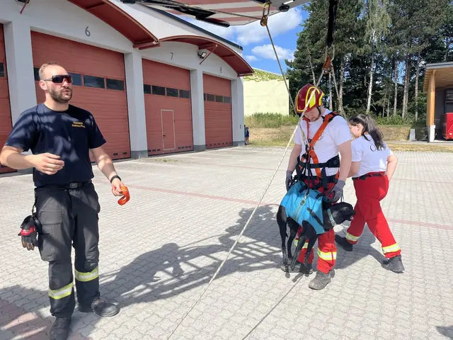 Mehrere HundeführerInnen trainierten gemeinsam mit ihren Hunden das Anhängen unterhalb des Drehleiterkorbs und das anschließende Hochheben in luftige Höhe. | Foto: FF Waidhofen/Thaya
