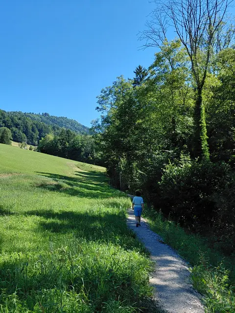 Foto: H.Bachinger