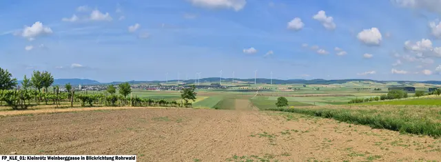 So könnte ein Windpark im Bereich Tresdorf und Harmannsdorf aussehen. Visualisierung des Unternehmens "Im Wind": Weinberggasse Kleinrötz in Blickrichtung Rohrwald | Foto: Im Wind