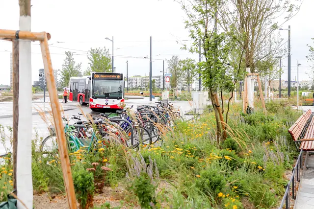 Aspern Nord ist ein Verkehrsknotenpunkt für die U-Bahn, S-Bahn, Busse und Straßenbahnen. | Foto: Christian Fürthner/ Stadt Wien