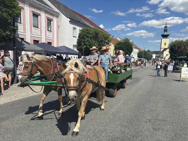 Foto: Daniel Schmidt