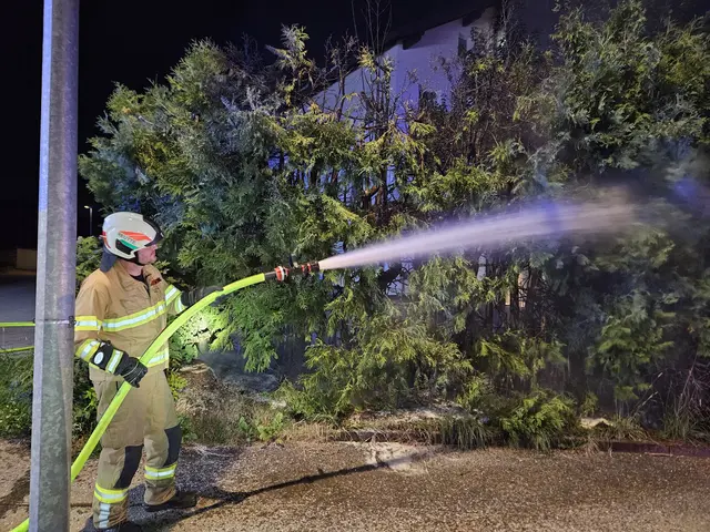 Die Feuerwehr war rasch zur Stelle. | Foto: Feuerwehr Reutte