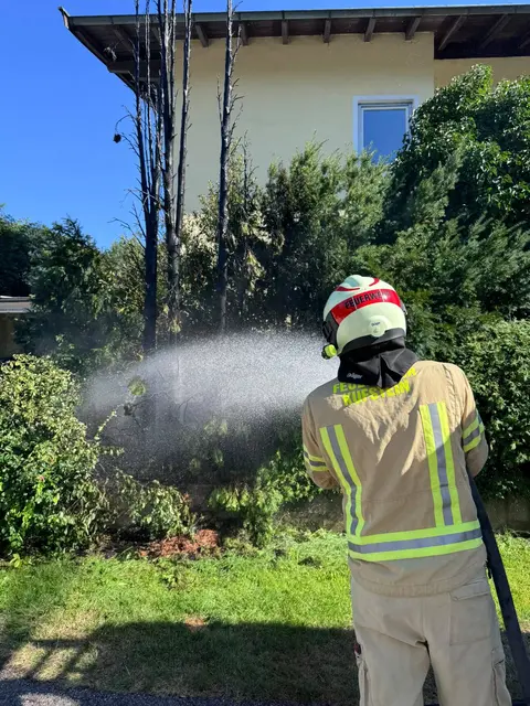Eine rund sieben Meter hohe Hecke geriet in Kufstein nach einem Böller-Wurf in Brand. | Foto: ZOOM.TIROL