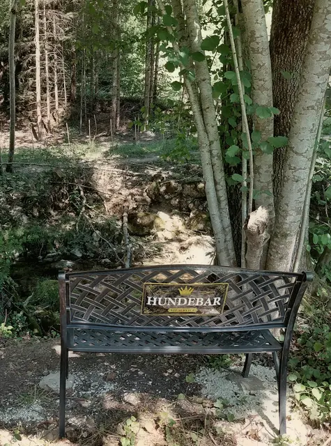 Foto: H.Bachinger