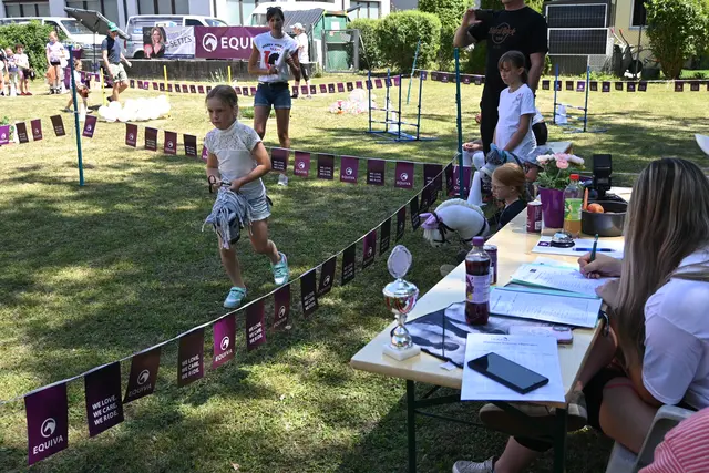 Professionelle Schiedsrichter bewerteten die Vorführungen. | Foto: Königer