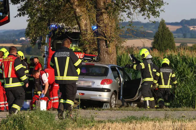 Foto: laumat/Matthias Lauber