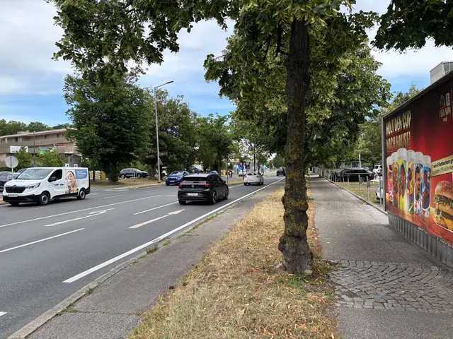 Foto: MeinBezirk/Markus Kropac