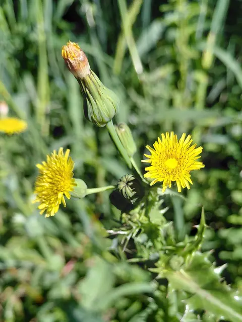 Foto: H.Bachinger