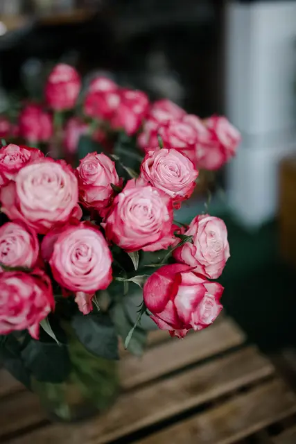 Foto: pexels / Melike B