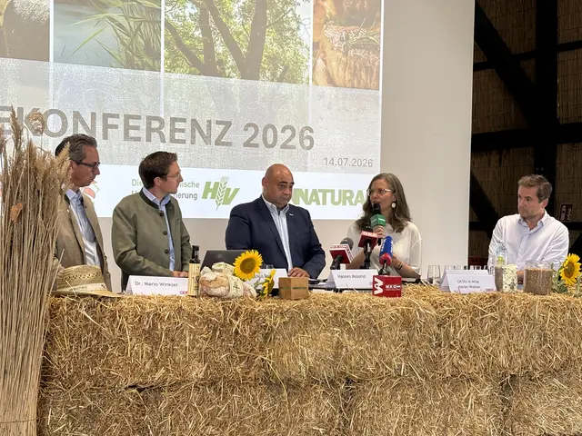 Hitze und Trockenheit sind laut Anja Haider-Wallner längst keine Ausnahme mehr. | Foto: Jennifer Flechl / MeinBezirk