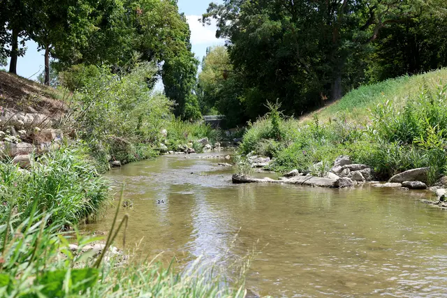 Beim Liesingbach heißt es seit 2020 "Zurück zur Natur". | Foto: Stadt Wien/Martin Votava