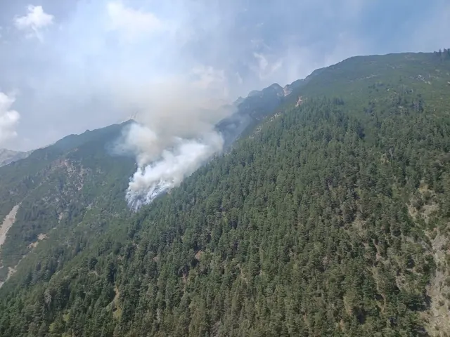 Foto: Feuerwehr Wildermieming