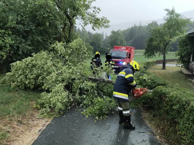 Foto: Feuerwehr St.Stefan/Gail