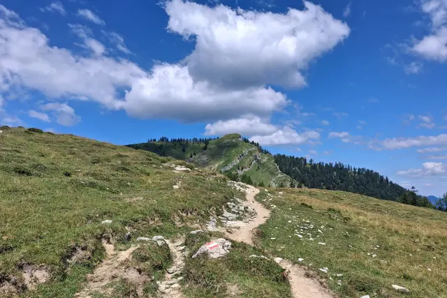 ...Wieslerhorn wir kommen.