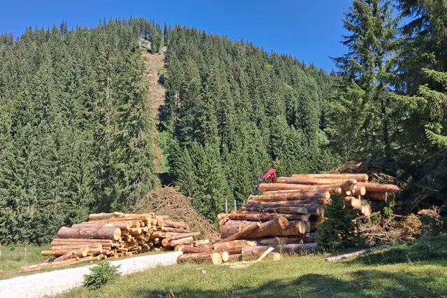 ...gestern sind wir noch einen schönen Almenrundweg gegangen, wo gerade Holzstämme geladen wurden.
Man erkennt nicht so gut, wie steil das Gelände war.
Ein Lob an die Forstarbeiter die diese gefährliche Arbeit leisten, mit den Gerätschaften, die ihnen zur Verfügung stehen.