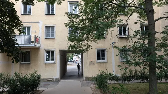 Der Ast eines Maulbeerbaums sorgt für Ärger in der Heiligenstädter Straße 141.  | Foto: Fabian Franz/MeinBezirk