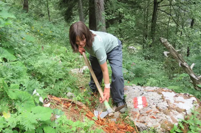 Der Baumstumpf muss aus dem Weg | Foto: Kuntner