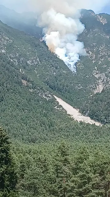 Waldbrand in Wildermieming im Bereich Grießlehn. Beim Eintreffen der Einsatzkräfte war eine starke Rauchentwicklung erkennbar. Es konnte außerdem die Ausbreitung des Feuers festgestellt werden. Aufgrund der schwierigen Erreichbarkeit wurden ein Hubschrauber der Polizei Tirol und ein Hubschrauber der Polizei Vorarlberg zum Brandort angefordert, sowie weitere Hubschrauber nachgefordert.  | Foto: Feuerwehr Wildermieming