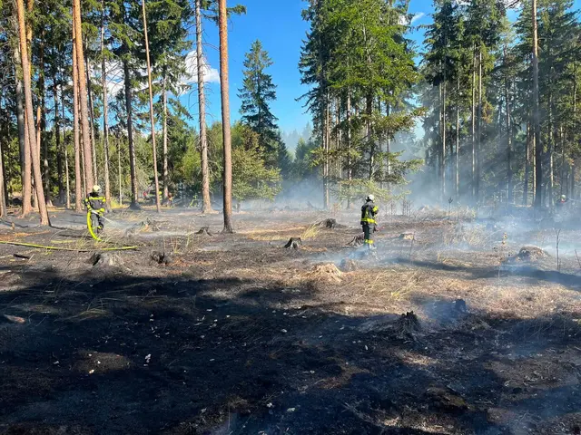 Aufgrund des steilen und unwegsamen Geländes gestalten sich die Löscharbeiten besonders anspruchsvoll. | Foto: Feuerwehren