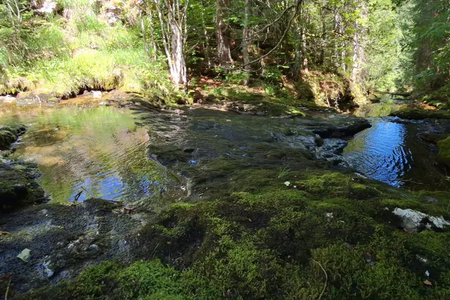 ...wenig Wasser gibt`s in den Bacherln.