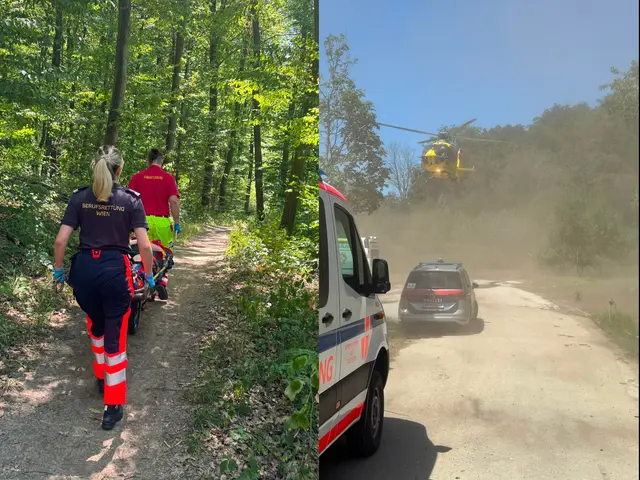 Ein fordernder Einsatz für die Berufsrettung ereignete sich zuletzt in einem Penzinger Waldabschnitt. | Foto: Berufsrettung Wien (2), Collage MeinBezirk