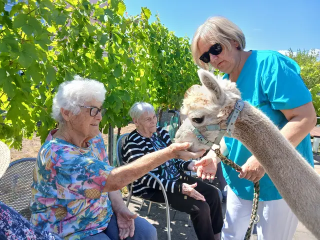 Im PBZ Zistersdorf war die Freude über den Besuch von zwei Alpakadamen groß – vlnr.: 
Bewohnerin Erika Kaufmann, Bewohnerin Hildegard Grubitsch, Alpakadame Fabienne und 
Alltagsbegleiterin Marion Klampf. | Foto: PBZ Zistersdorf