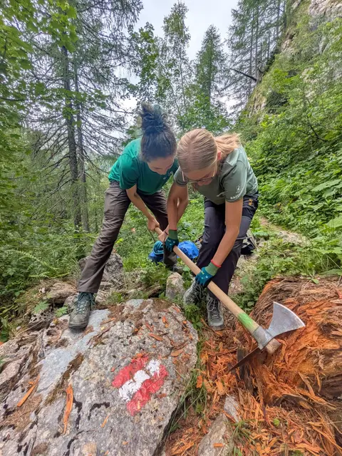 Teamwork mit der Kulturhaue | Foto: Meusburger
