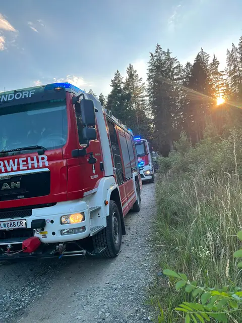Die auf Waldbrände spezialisierten Feuerwehrmitglieder aus Alberndorf unterstützen die örtlichen Einsatzkräfte. | Foto: Feuerwehren