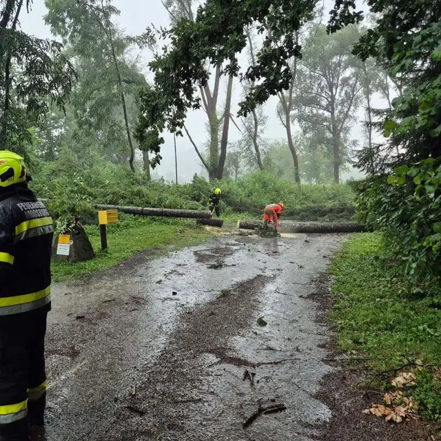 Foto: Freiwillige Feuerwehr Moosburg in Ktn.