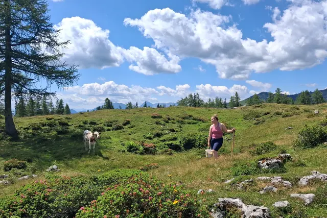 ...eine Halterin am Weg zum Wiesnerhorn.