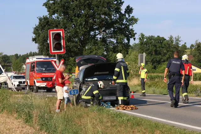 Foto: laumat/Matthias Lauber