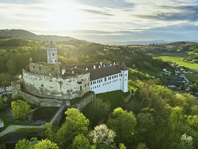 Schallaburg | Foto: Rupert Pessl