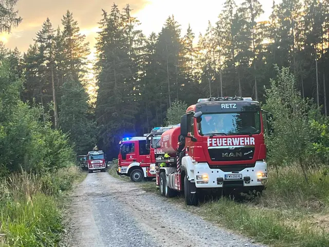 Insgesamt stehen zwölf Feuerwehren mit rund 110 Mitgliedern bei der Waldbrandbekämpfung im Einsatz. | Foto: Feuerwehren