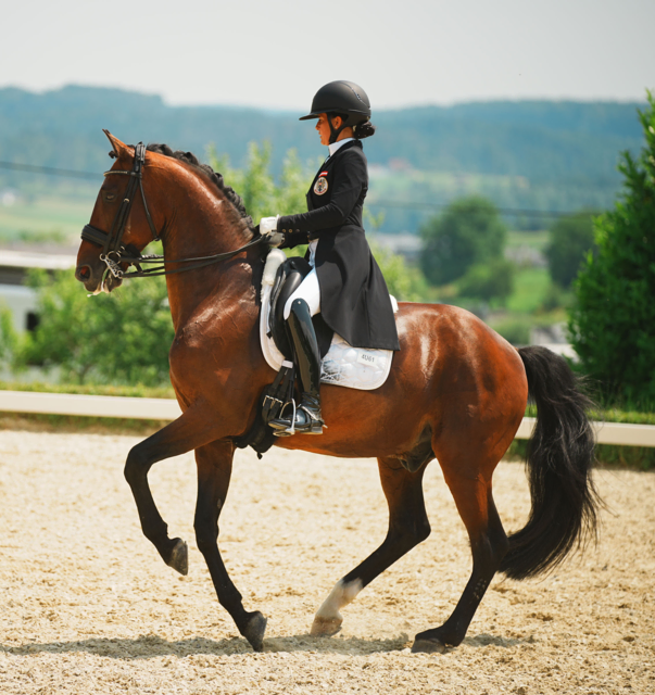 Foto: Hartberger Reitverein "RC Dressage Group Styria"