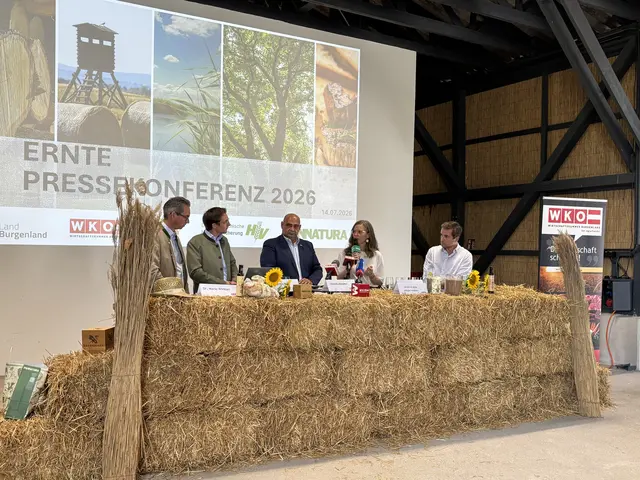 Frost, Hagel, Sturm, Dürre und Starkregen hätten allein im Burgenland in den vergangenen zehn Jahren Schäden in Höhe von rund 250 Millionen Euro verursacht. | Foto: Jennifer Flechl / MeinBezirk