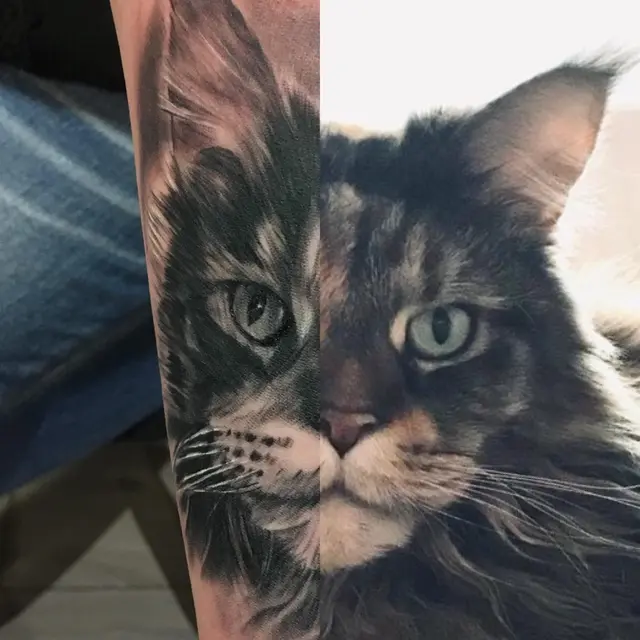 Ein Katzentattoo mit der Vorlage eines Fotos