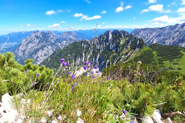 ...ein erhebendes Gefühl, wenn man den Blick über die Berge streifen lässt. Beim steilen Abstieg vom Braunedel.