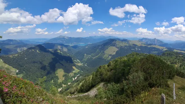 ...Blick vom Pitschenberg zum Wolfgangsee-Gebiet.