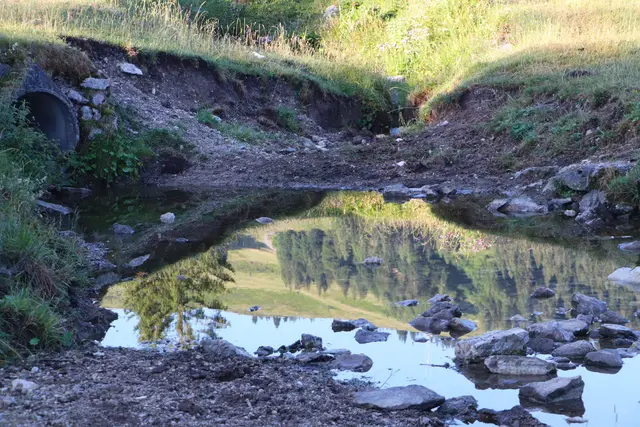 ...wenig Wasser für die Tiere.