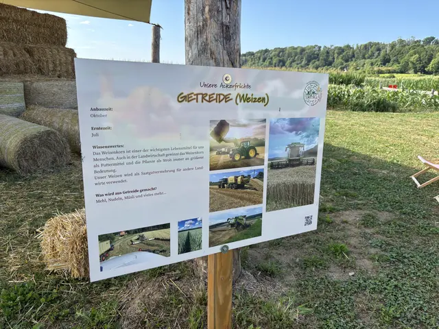 Foto: Leonie Stanzel